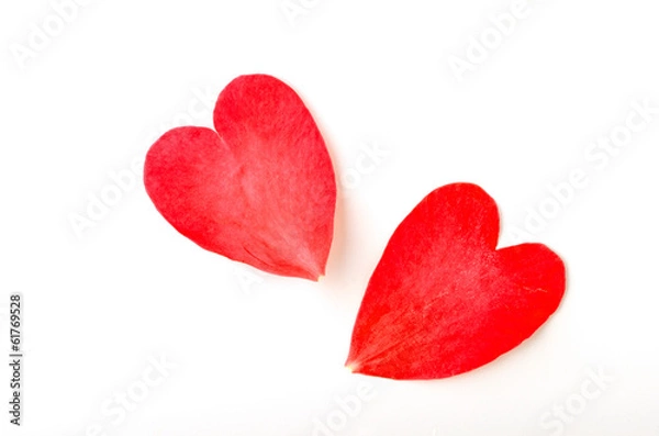 Fototapeta ハートの花びら