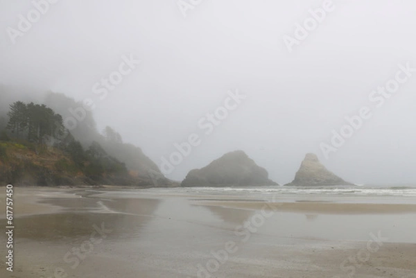 Fototapeta Foggy coast in Oregon on the shores of the Pacific Ocean.