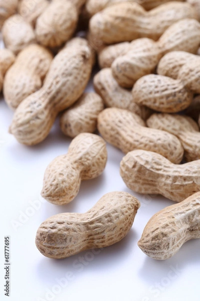 Fototapeta 落花生