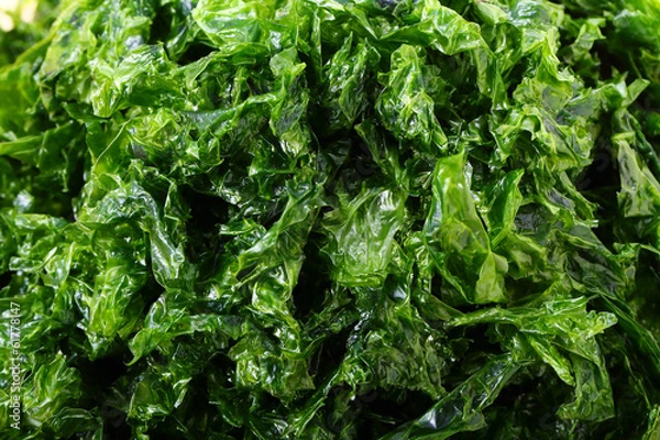 Obraz あおさのり