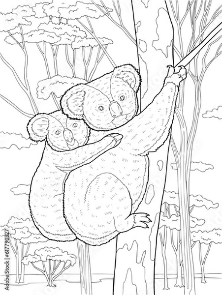 Fototapeta Color page with koala on the tree