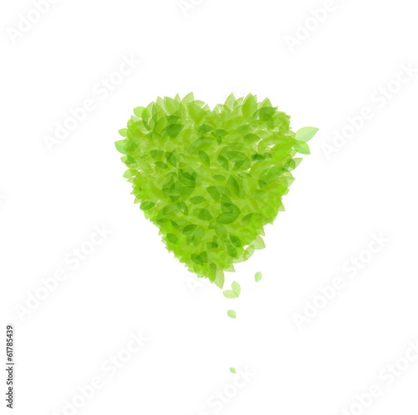 Obraz grüne Blätter Herz