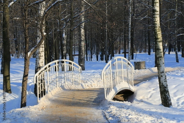 Obraz Мост в парке Лианозово