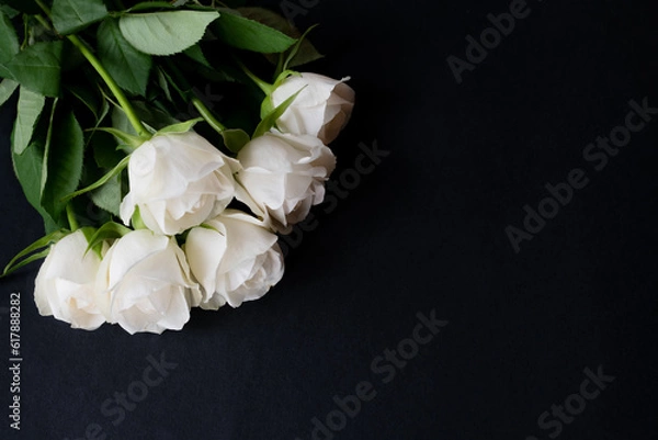 Obraz Bouquet of white roses on a black background with space for text