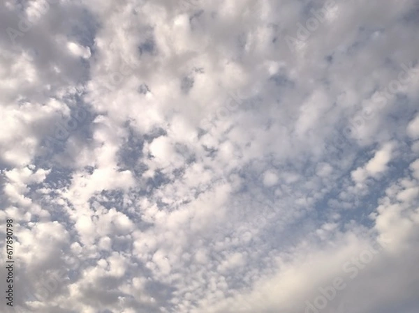 Obraz Altocumulus and Stratocumulus clouding the sky