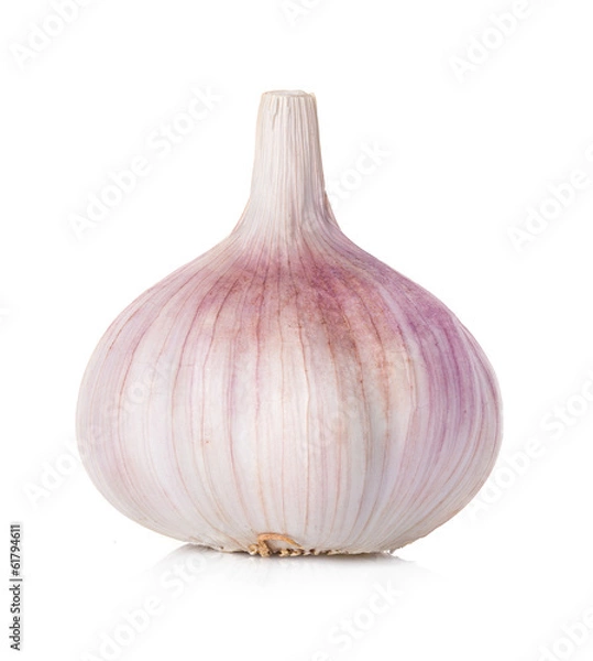 Obraz garlic isolated