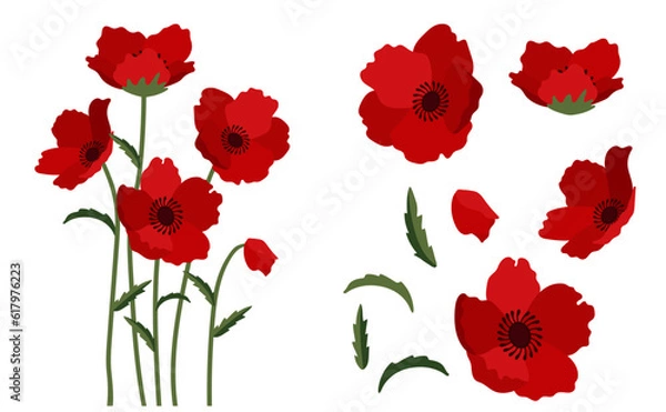 Obraz poppy flowers background.Eps 10 vector.