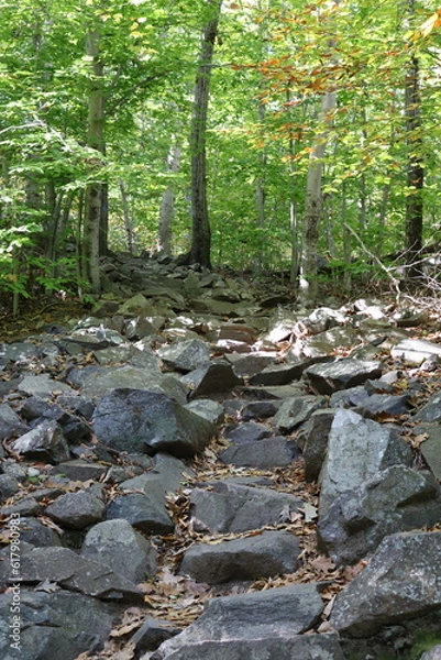 Obraz rocky staircase up a mountain