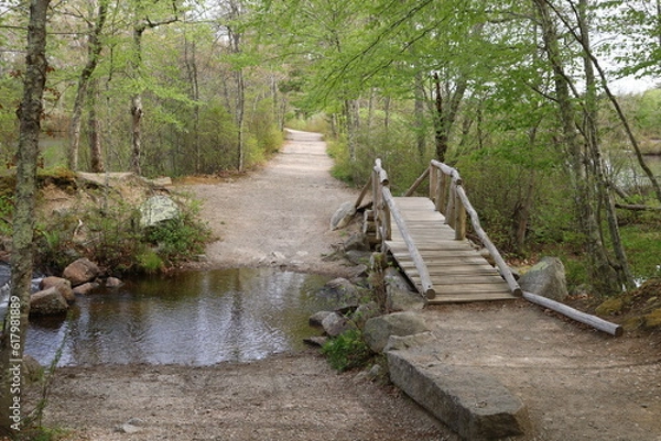 Obraz small, wooden bridge over a stream