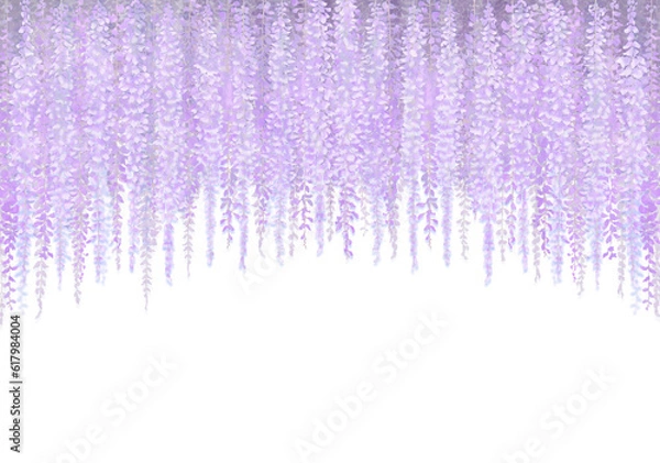 Obraz 神秘的な紫　藤の花のイラスト　白背景