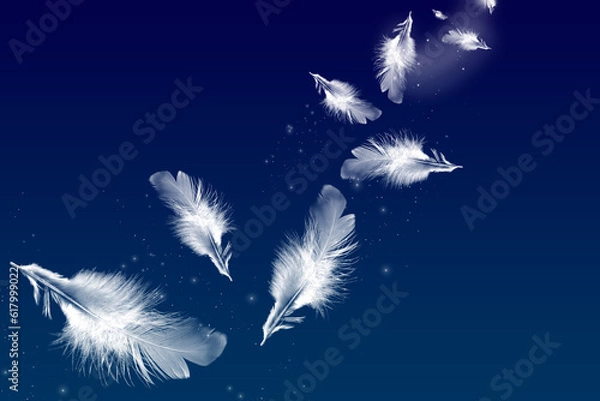 Fototapeta 夜空と羽根