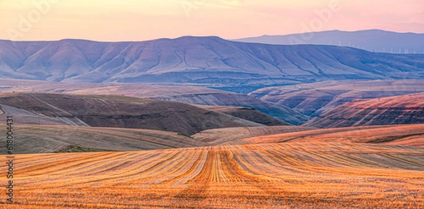 Fototapeta Fallow wheat field near the Deschutes River Canyon in Wasco, County, Oregon, glowing in the late afternoon light  