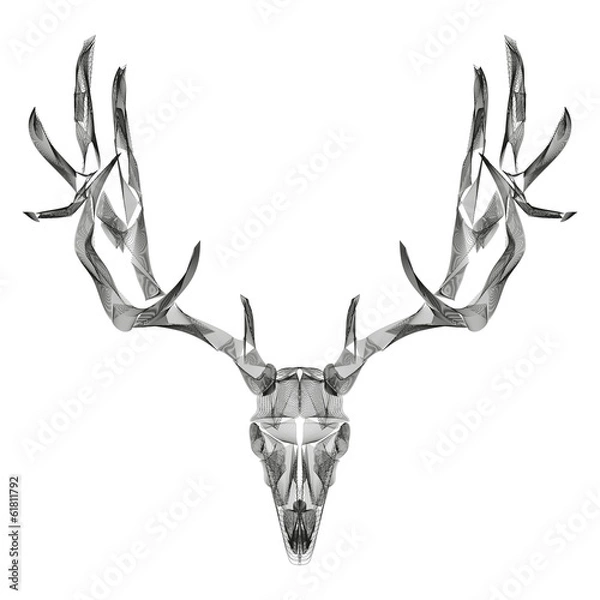 Obraz abstract animal background line art