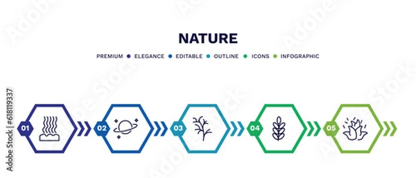Fototapeta set of nature thin line icons. nature outline icons with infographic template. linear icons such as fasciculate, planet with satellite, cypress leaf, acacia, burning flames vector.