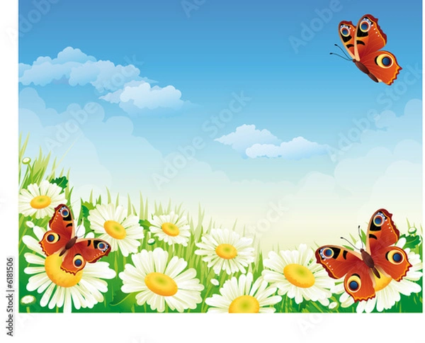 Obraz butterfly and flowers