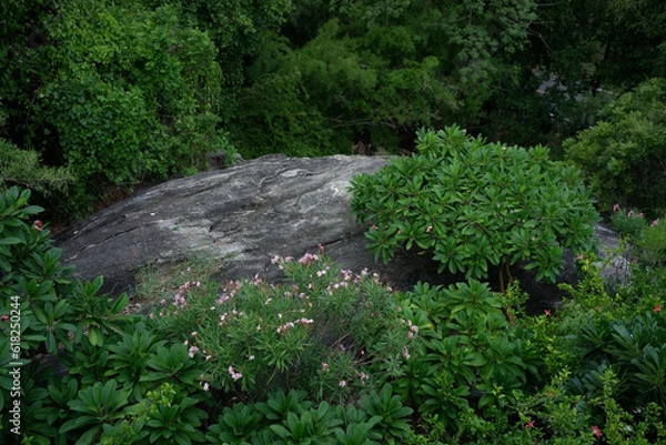 Fototapeta Mountain view with trees and rocks.