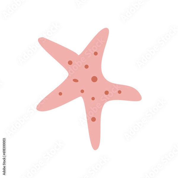 Fototapeta Vector seashell hand drawn