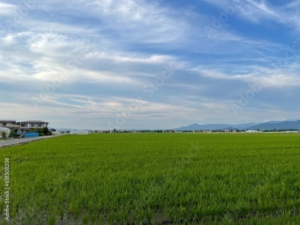 Obraz 210630田んぼ今塚

山形市今塚
田んぼ
曇り
空