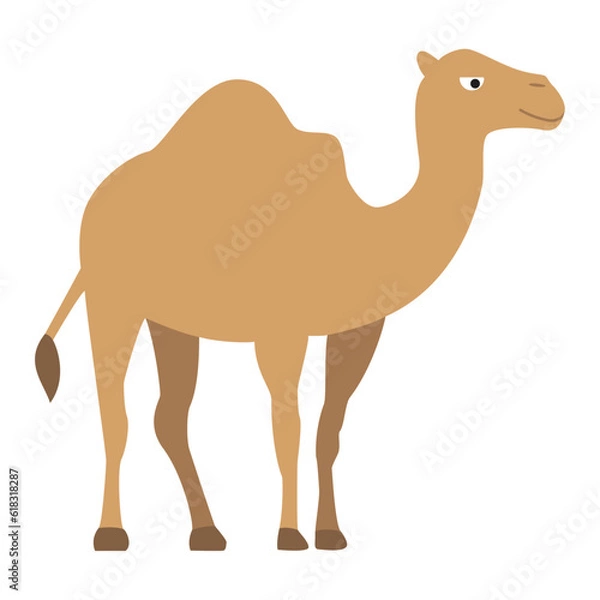 Fototapeta Isolated colored camel animal icon Vector