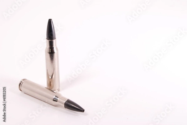 Obraz Rifle Cartridges