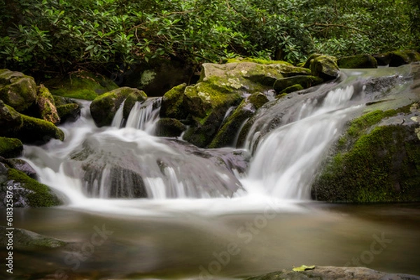 Obraz waterfall in the forest