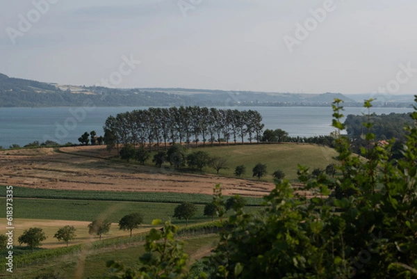 Obraz Paysage d'été