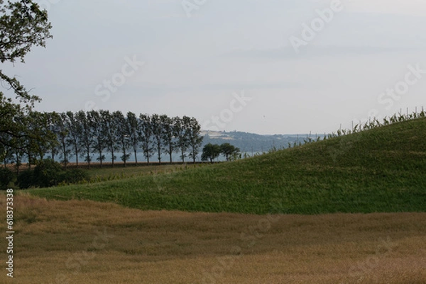 Obraz Paysage d'été