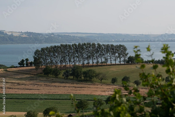 Obraz Paysage d'été