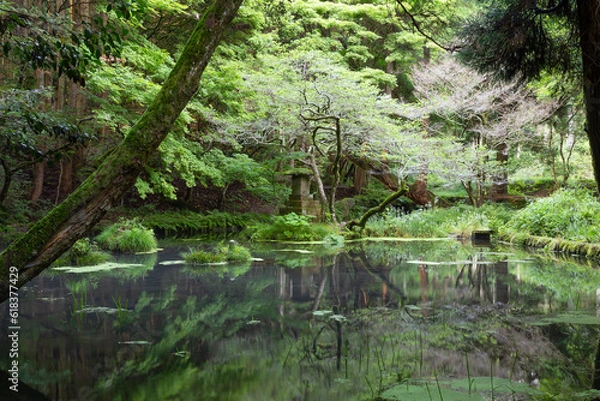 Obraz 熊本県阿蘇郡産山村　山吹水源