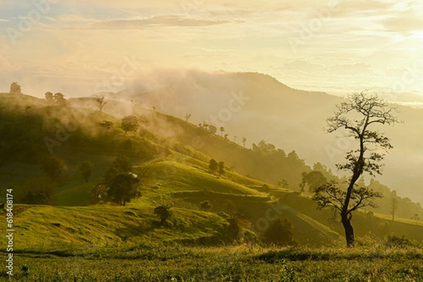 Obraz Mae Tho Mountain 