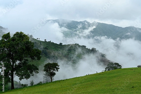 Obraz Mae Tho Mountain 