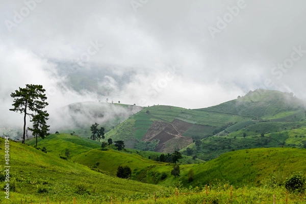 Obraz Mae Tho Mountain 