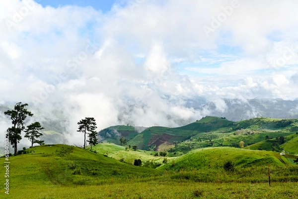 Obraz Mae Tho Mountain 