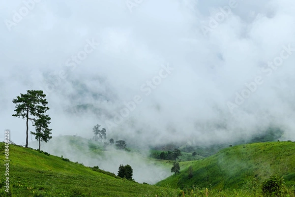 Obraz Mae Tho Mountain 