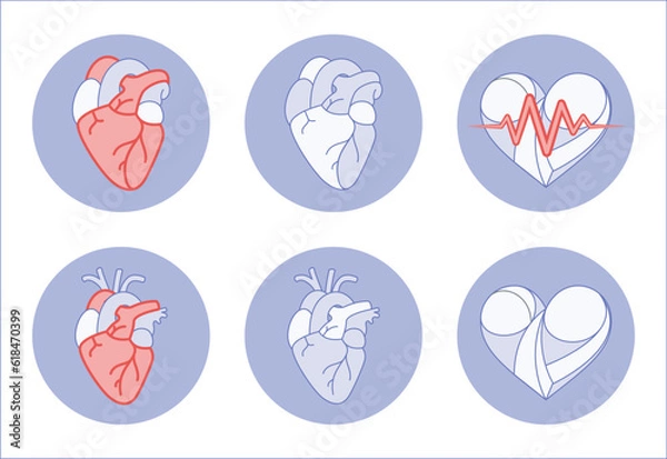 Fototapeta Heart illustration anatomy real and symbolic icon for fitness app or website or print artwork