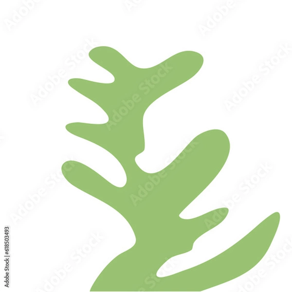 Fototapeta Abstract Green  Coral Shape