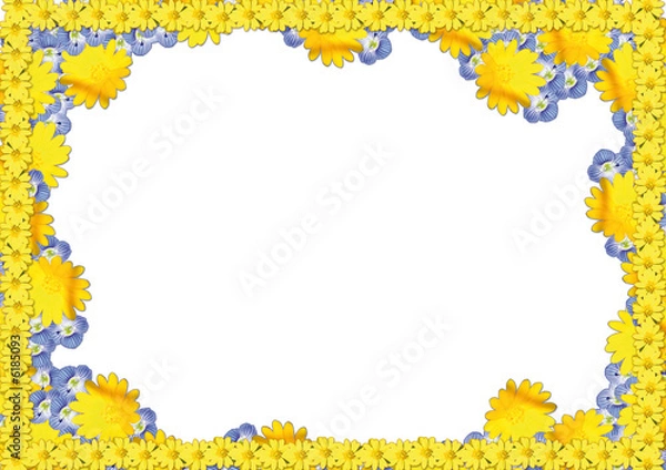 Obraz Cornice di fiori