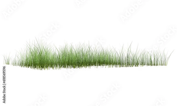 Fototapeta green grass on transparent background. 3d rendering