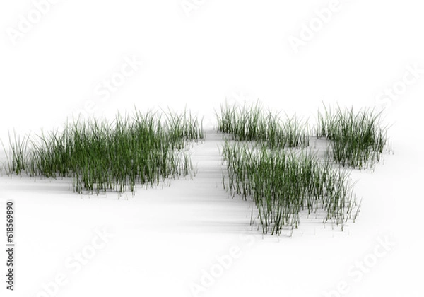 Fototapeta grass patches on transparent background. 3d rendering.