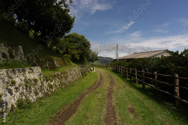 Obraz path in the field