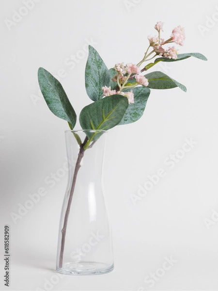 Obraz Planta en jarrón de cristal