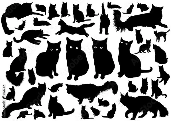 Obraz Cat silhouettes