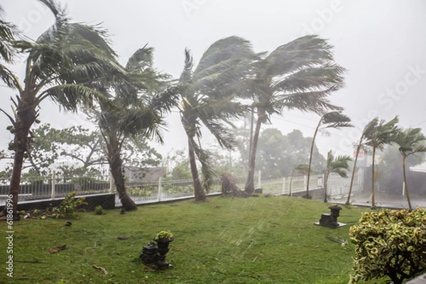 Obraz Szalejący cyklon „Bejisa”, La Reunion