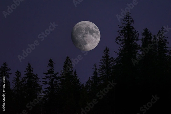 Obraz Full Moon in Purple Sunset