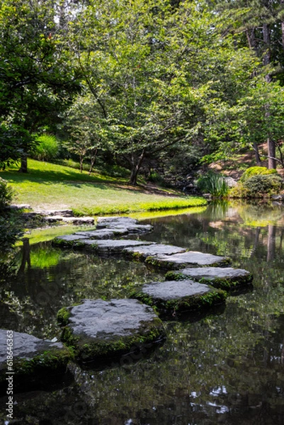 Obraz river in the forest