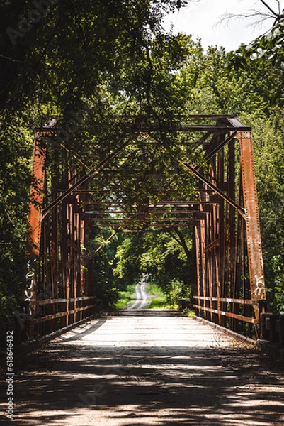Obraz bridge in the park