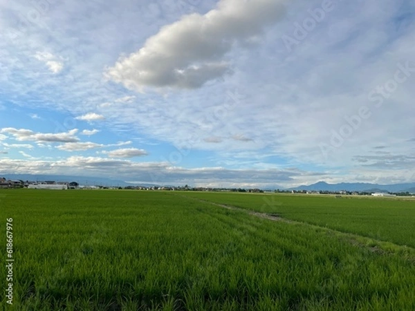 Obraz 210701田んぼ樋越

山形市樋越
田んぼ
空
雲