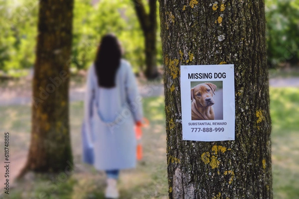 Fototapeta A woman with a leash is looking for a lost pet by putting up posters in the park.