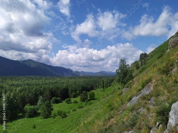 Obraz landscape in summer