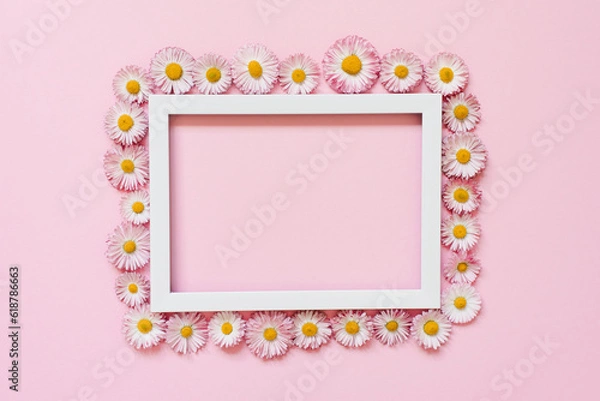 Fototapeta Daisy flowers with a white frame with a top view
